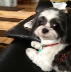 Meet your Posher, Richard